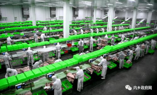 書寫菊鄉大氣磅礴的奮進文章 內鄉縣政府工作報告解讀